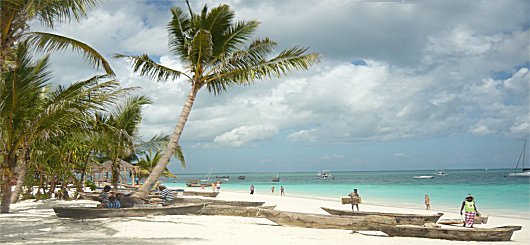 Dai Safari alle immense spiagge oceaniche scopriamo la splendida perla africana al saluto di Dai Safari alle immense spiagge oceaniche scopriamo la splendida perla africana al saluto di